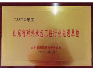 山东省对外承包工程行业先进单位