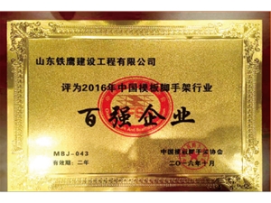 全国行业百强企业